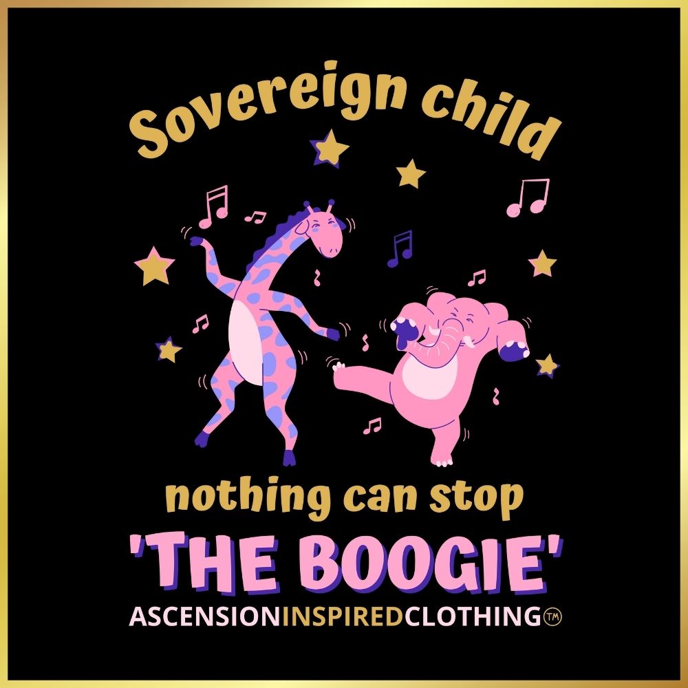 Nothing Can Stop The Boogie Organic Cotton kids T Shirt