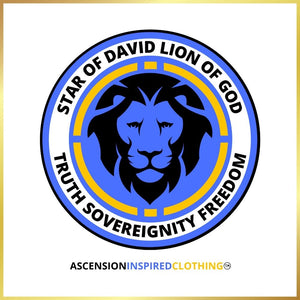 Lion Of God T Shirt