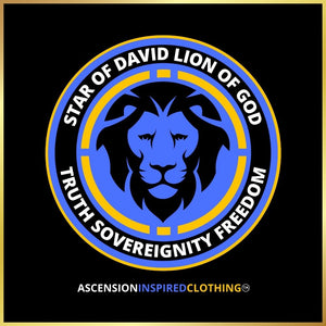 Lion Of God T Shirt